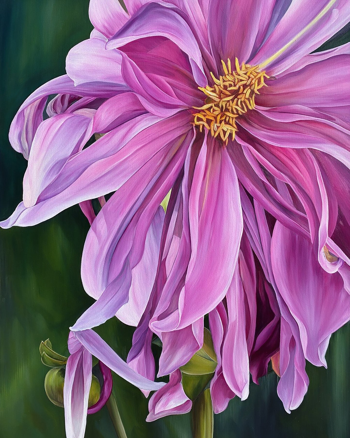 Luxembourg Garden Dahlia