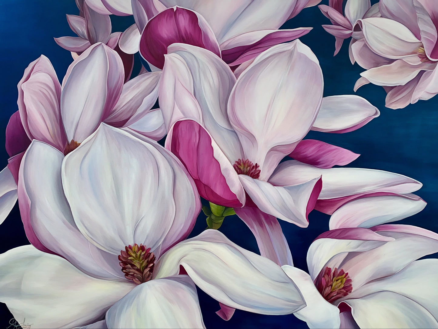 Magnolia Dance