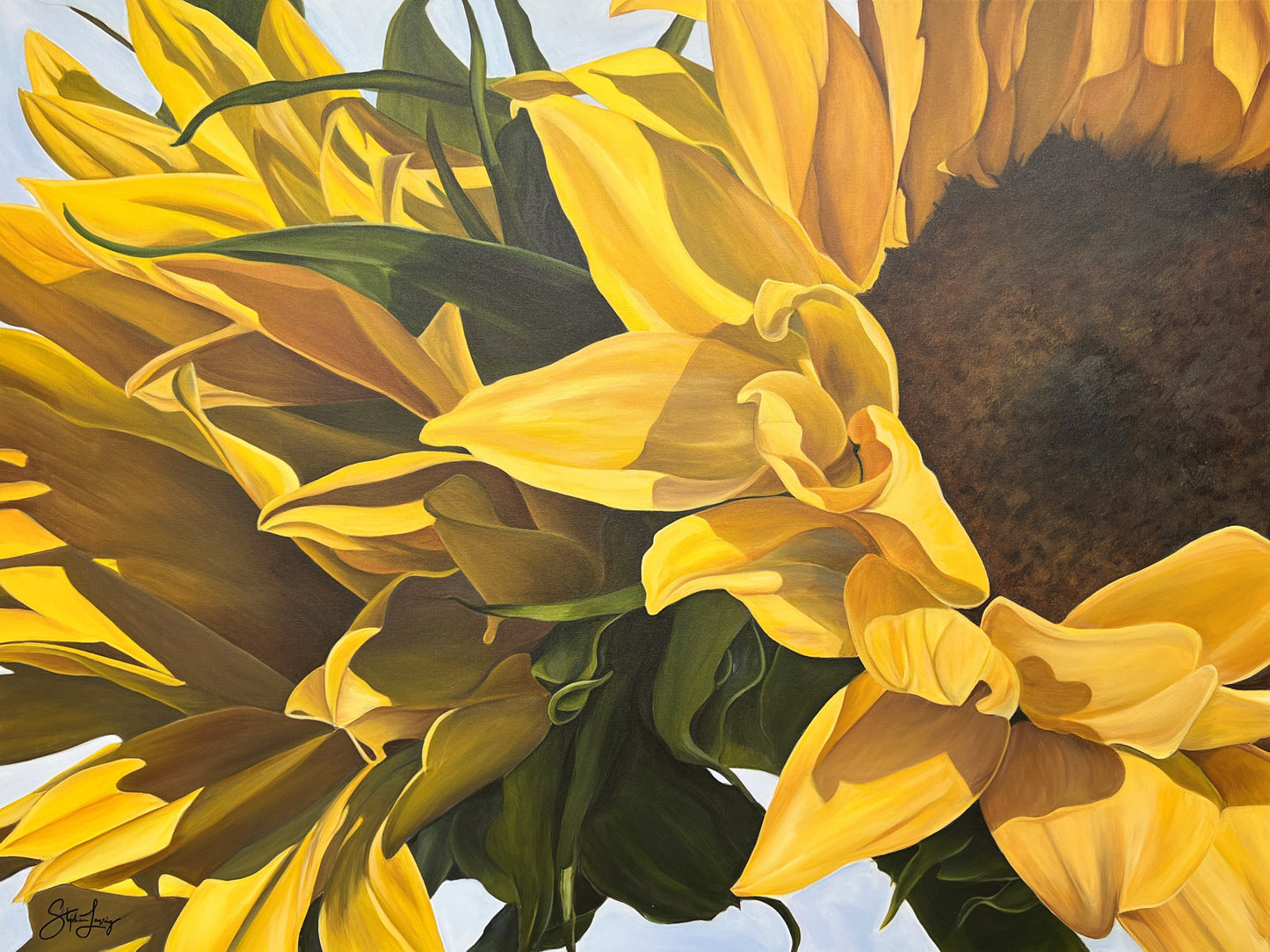 Sunshine of Pungo