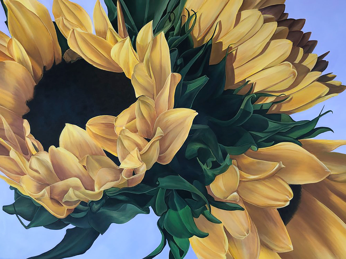 Tré Girasol