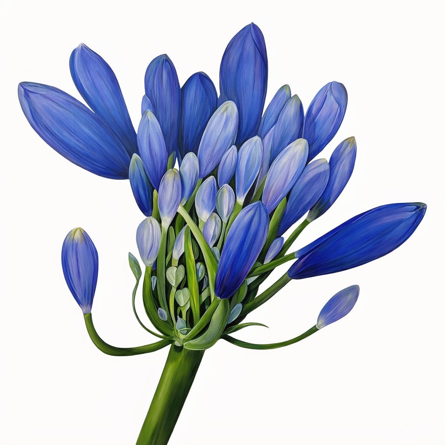 Unfurling (contact for pricing)